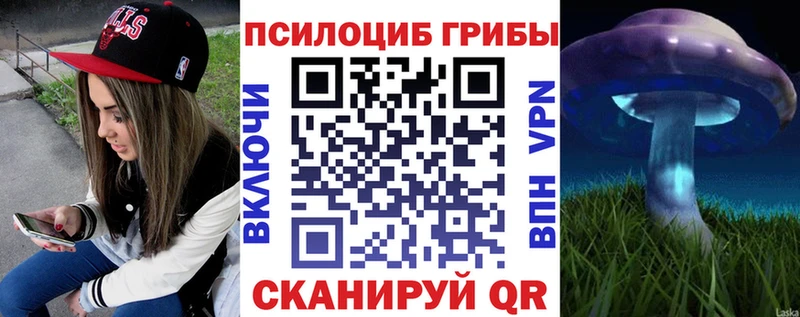 Галлюциногенные грибы GOLDEN TEACHER  Купить закладки  Чистополь 